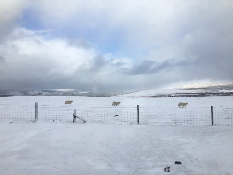 longmynd6